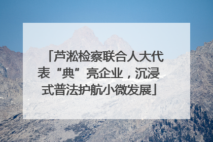 芦淞检察联合人大代表“典”亮企业，沉浸式普法护航小微发展