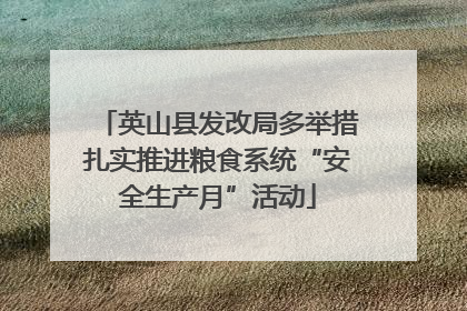 英山县发改局多举措扎实推进粮食系统“安全生产月”活动