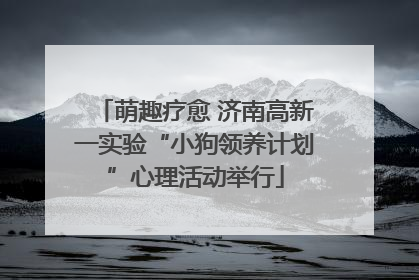 萌趣疗愈 济南高新一实验“小狗领养计划”心理活动举行