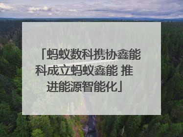 蚂蚁数科携协鑫能科成立蚂蚁鑫能 推进能源智能化