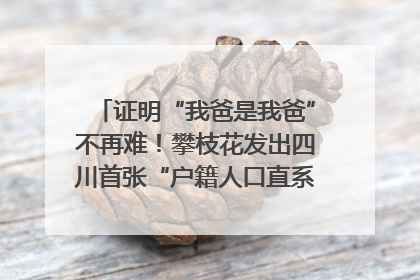 证明“我爸是我爸”不再难！攀枝花发出四川首张“户籍人口直系亲属关系谱”