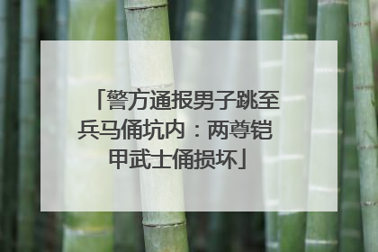 警方通报男子跳至兵马俑坑内：两尊铠甲武士俑损坏