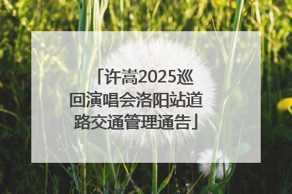 许嵩2025巡回演唱会洛阳站道路交通管理通告