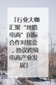 行业大咖汇聚“丝路电商”国际合作对接会，热议跨境电商产业发展