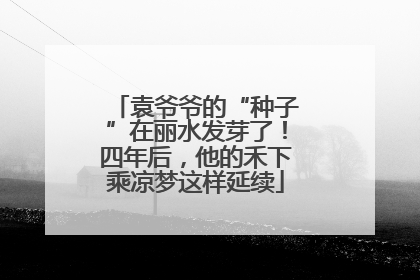 袁爷爷的“种子”在丽水发芽了！四年后，他的禾下乘凉梦这样延续