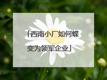 西南小厂如何蝶变为领军企业