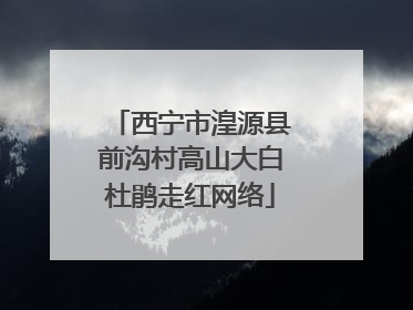 西宁市湟源县前沟村高山大白杜鹃走红网络