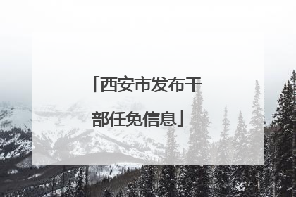 西安市发布干部任免信息