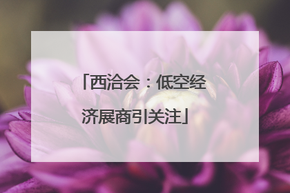 西洽会：低空经济展商引关注