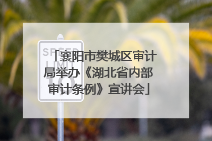 襄阳市樊城区审计局举办《湖北省内部审计条例》宣讲会