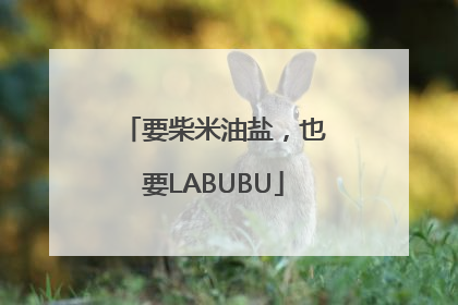 要柴米油盐，也要LABUBU