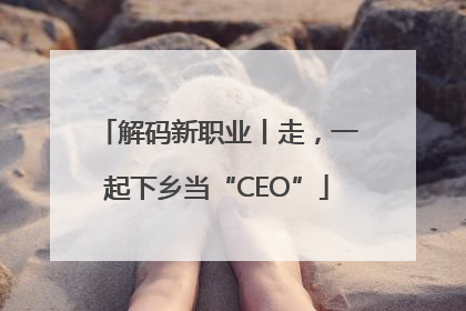 解码新职业丨走，一起下乡当“CEO”