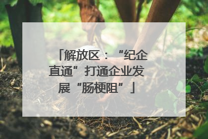 解放区：“纪企直通”打通企业发展“肠梗阻”
