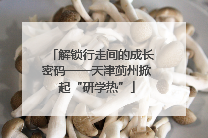 解锁行走间的成长密码——天津蓟州掀起“研学热”
