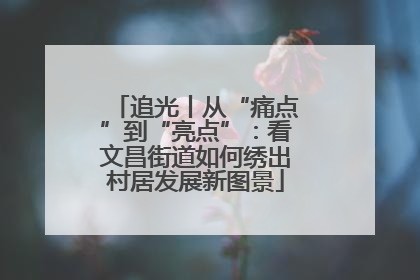 追光丨从“痛点”到“亮点”：看文昌街道如何绣出村居发展新图景