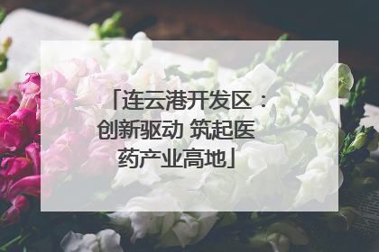 连云港开发区：创新驱动 筑起医药产业高地