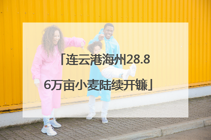 连云港海州28.86万亩小麦陆续开镰