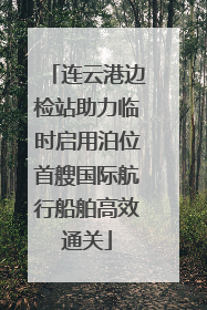 连云港边检站助力临时启用泊位首艘国际航行船舶高效通关