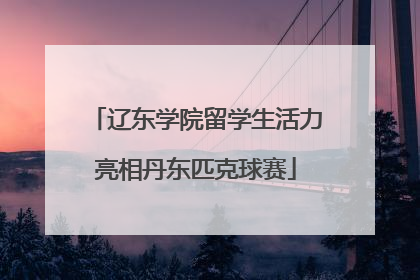 辽东学院留学生活力亮相丹东匹克球赛