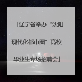 辽宁省举办“沈阳现代化都市圈”高校毕业生专场招聘会