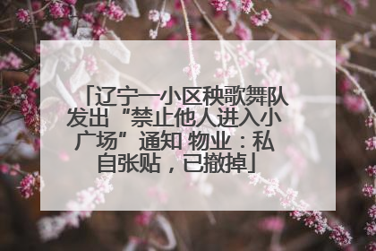 辽宁一小区秧歌舞队发出“禁止他人进入小广场”通知 物业：私自张贴，已撤掉