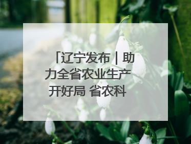 辽宁发布｜助力全省农业生产开好局 省农科院科技服务春耕备耕成效显著