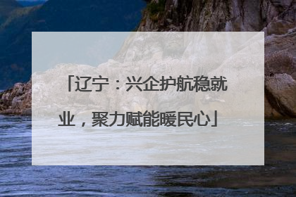 辽宁：兴企护航稳就业，聚力赋能暖民心