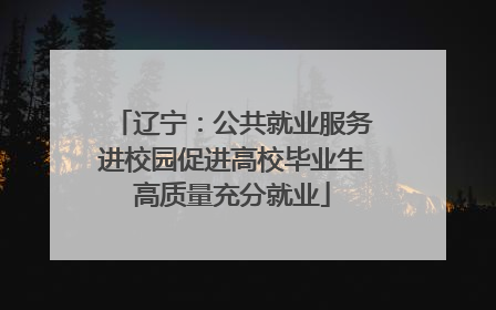 辽宁：公共就业服务进校园促进高校毕业生高质量充分就业