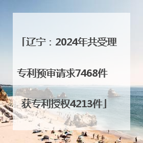辽宁：2024年共受理专利预审请求7468件 获专利授权4213件