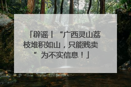 辟谣丨“广西灵山荔枝堆积如山，只能贱卖”为不实信息！