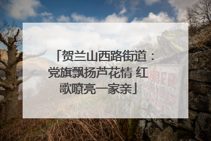 贺兰山西路街道：党旗飘扬芦花情 红歌嘹亮一家亲