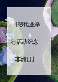 赞比亚举行活动纪念非洲日