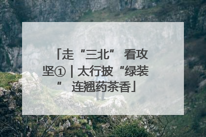 走“三北” 看攻坚①｜太行披“绿装” 连翘药茶香
