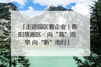 走进园区看企业｜衡阳蒸湘区：向“高”而攀 向“新”而行