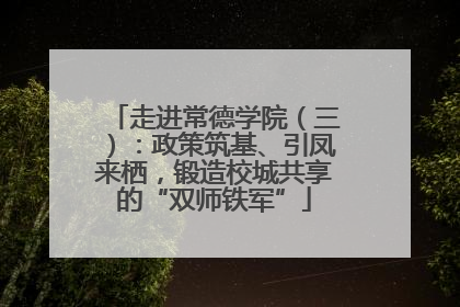 走进常德学院（三）：政策筑基、引凤来栖，锻造校城共享的“双师铁军”