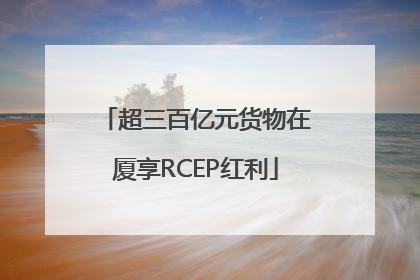 超三百亿元货物在厦享RCEP红利