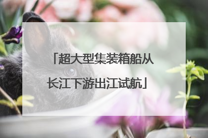 超大型集装箱船从长江下游出江试航