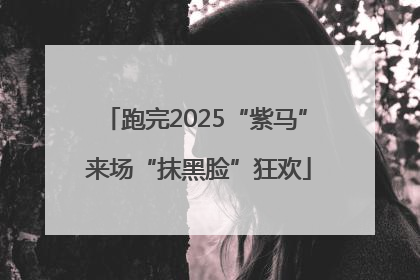 跑完2025“紫马” 来场“抹黑脸”狂欢