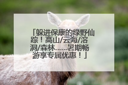 躲进保康的绿野仙踪！高山/云海/溶洞/森林……暑期畅游享专属优惠！