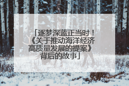 逐梦深蓝正当时！《关于推动海洋经济高质量发展的提案》背后的故事