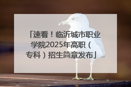 速看！临沂城市职业学院2025年高职（专科）招生简章发布