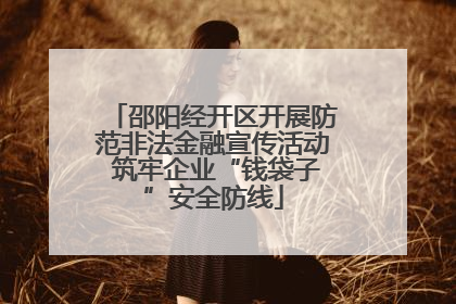 邵阳经开区开展防范非法金融宣传活动 筑牢企业“钱袋子”安全防线