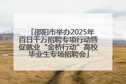 邵阳市举办2025年百日千万招聘专项行动暨促就业“金桥行动”高校毕业生专场招聘会