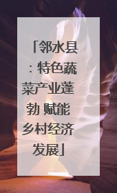 邻水县：特色蔬菜产业蓬勃 赋能乡村经济发展