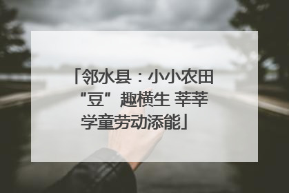 邻水县：小小农田“豆”趣横生 莘莘学童劳动添能
