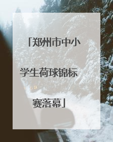 郑州市中小学生荷球锦标赛落幕
