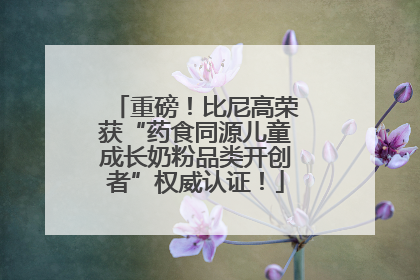 重磅！比尼高荣获“药食同源儿童成长奶粉品类开创者”权威认证！