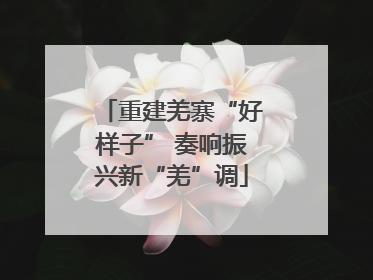 重建羌寨“好样子” 奏响振兴新“羌”调