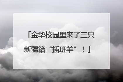 金华校园里来了三只新疆籍“插班羊”！
