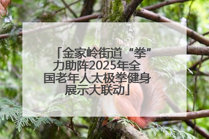 金家岭街道“拳”力助阵2025年全国老年人太极拳健身展示大联动